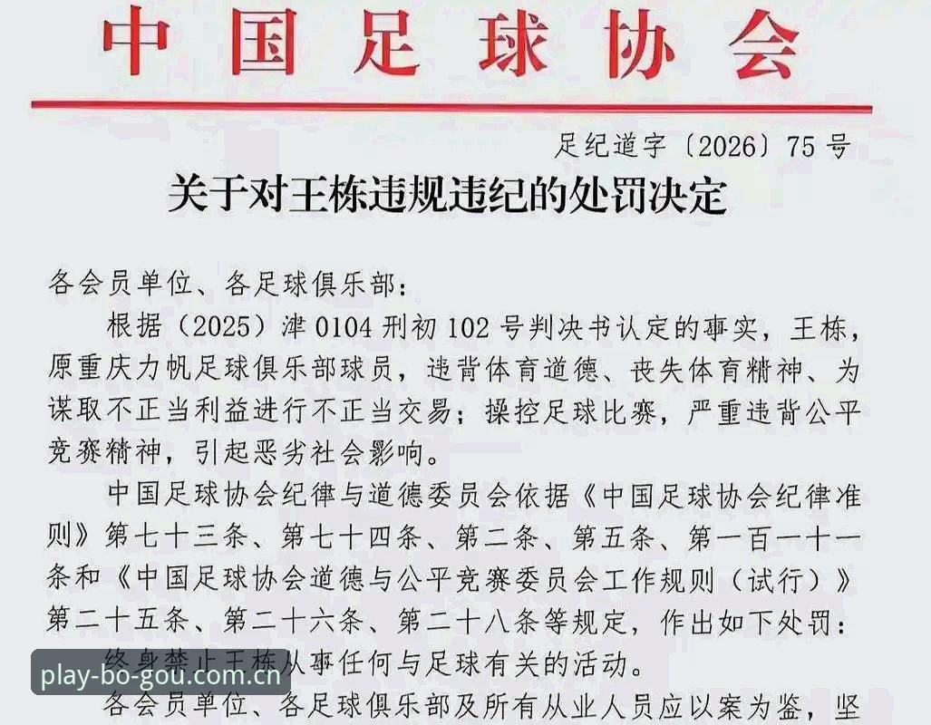 足协第三批禁足名单深度评测：17人终身禁赛背后的行业震荡